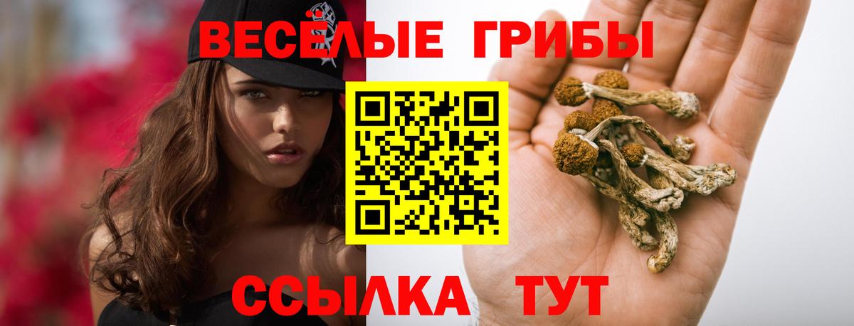 Прокопьевск  Псилоцибиновые грибы ЛСД  Псилоцибиновые грибы Cubensis  Вход с VPN 